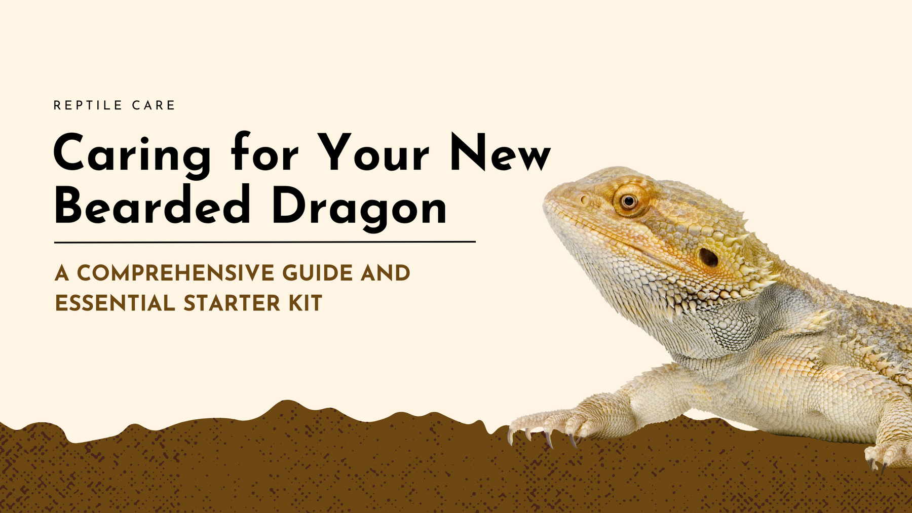 Caring for Your New Bearded Dragon: A Comprehensive Guide and Essential Starter Kit