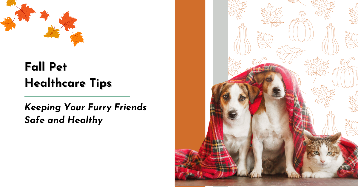 Fall Pet Healthcare Tips: Keeping Your Furry Friends Safe and Healthy