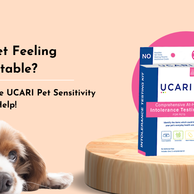 Is Your Pet Feeling Uncomfortable? Here’s How the UCARI Pet Sensitivity Test Kit Can Help!