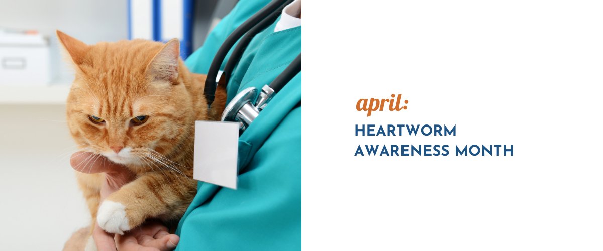 April: Heartworm Awareness Month - shopanimalwiz.com