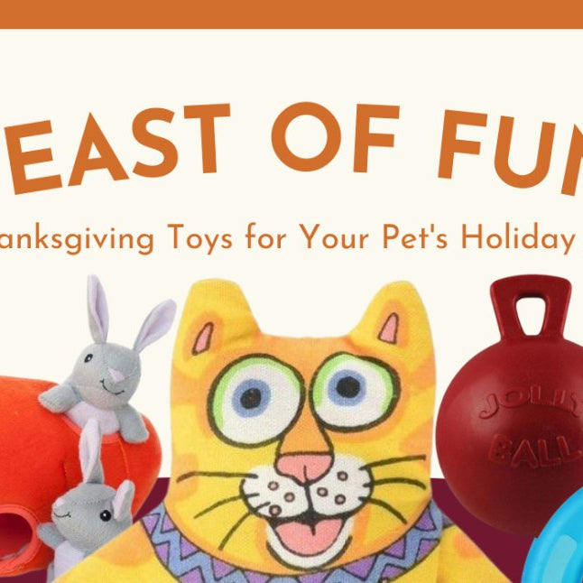 Feast of Fun: Thanksgiving Toys for Your Pet's Holiday Joy - shopanimalwiz.com