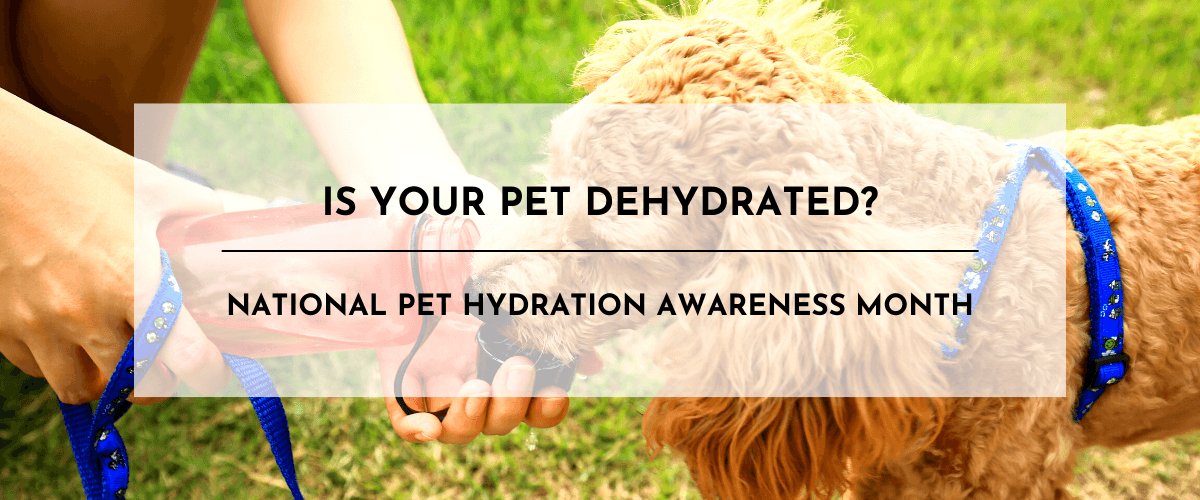 IS YOUR PET DEHYDRATED? - shopanimalwiz.com