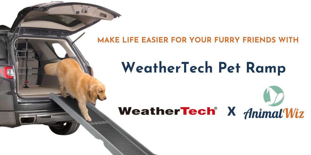 Make Life Easier for Your Furry Friends with WeatherTech Pet Ramp - shopanimalwiz.com