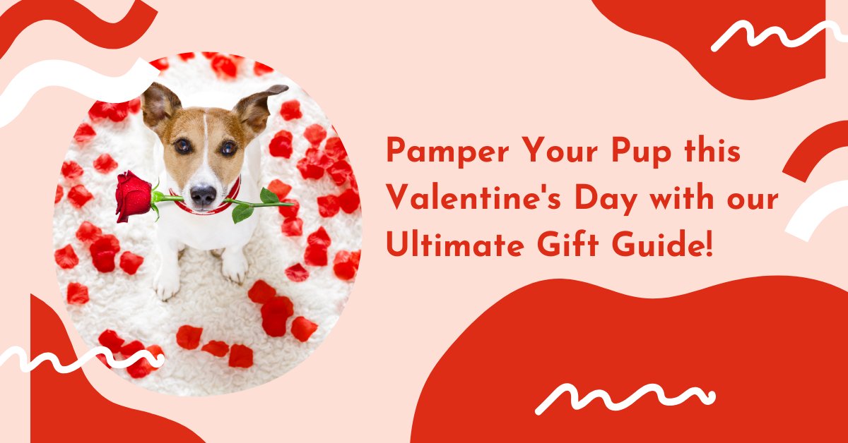 Pamper Your Pup this Valentine's Day with our Ultimate Gift Guide! - shopanimalwiz.com