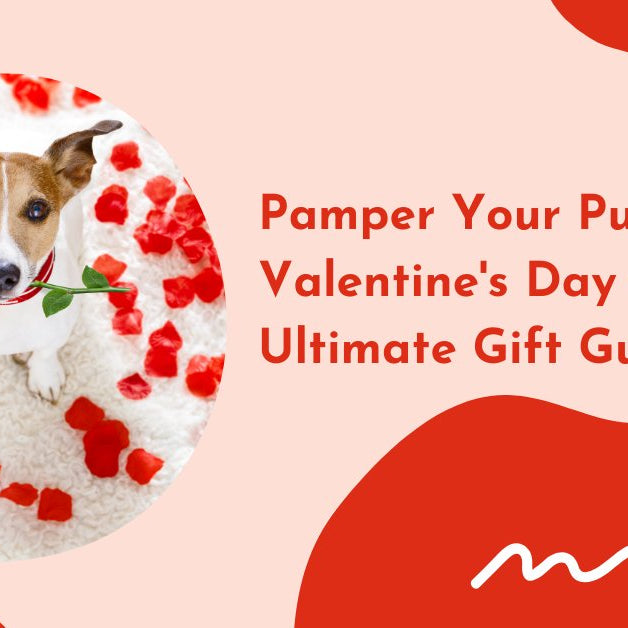 Pamper Your Pup this Valentine's Day with our Ultimate Gift Guide! - shopanimalwiz.com