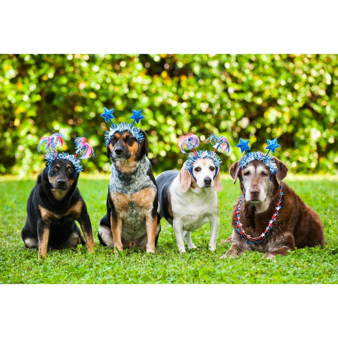 Pet Safety for the 4th of July Weekend - shopanimalwiz.com