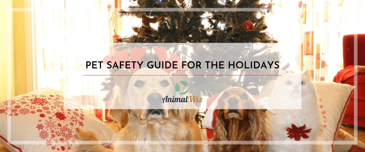 Pet Safety Guide For The Holidays - shopanimalwiz.com