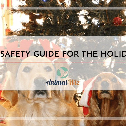 Pet Safety Guide For The Holidays - shopanimalwiz.com