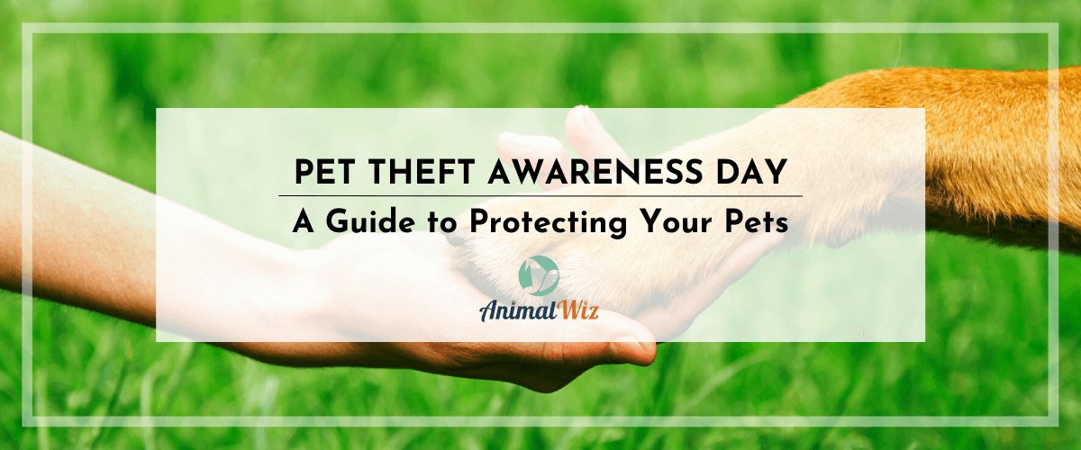 PET THEFT AWARENESS DAY: A GUIDE TO PROTECTING YOUR PETS - shopanimalwiz.com