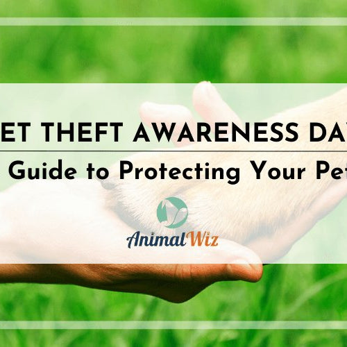 PET THEFT AWARENESS DAY: A GUIDE TO PROTECTING YOUR PETS - shopanimalwiz.com