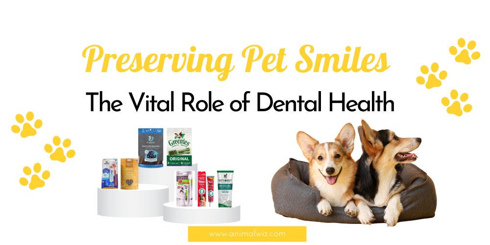 Preserving Pet Smiles: The Vital Role of Dental Health - shopanimalwiz.com