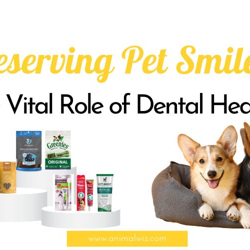 Preserving Pet Smiles: The Vital Role of Dental Health - shopanimalwiz.com