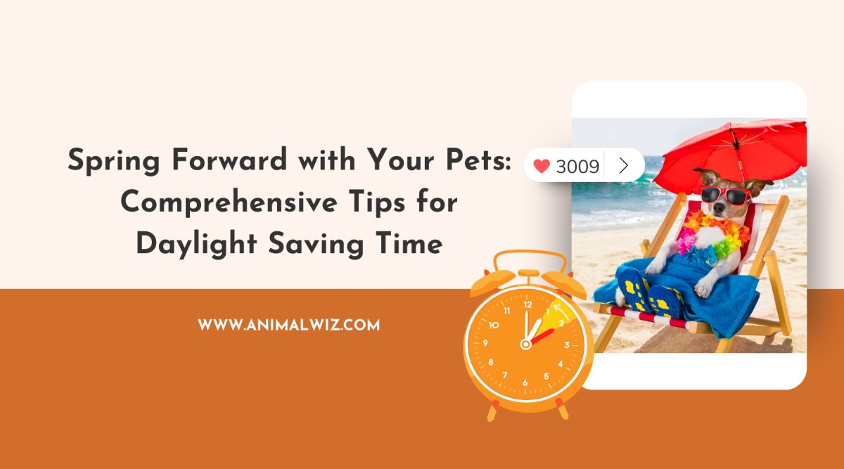 Spring Forward with Your Pets: Comprehensive Tips for Daylight Saving Time - shopanimalwiz.com