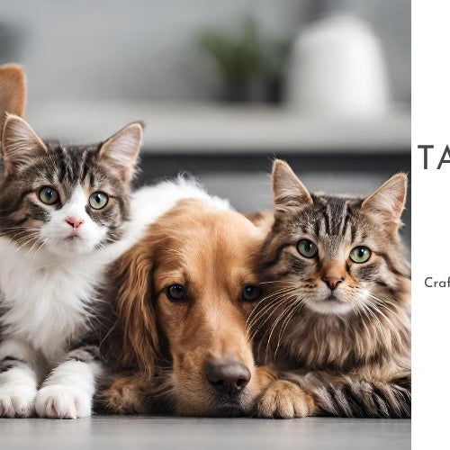 Tail-Wagging Spaces: Crafting Your Pet-Friendly Haven with Design Tips - shopanimalwiz.com