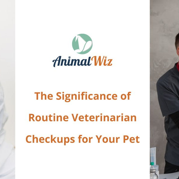 The Significance of Routine Veterinarian Checkups for Your Pet - shopanimalwiz.com