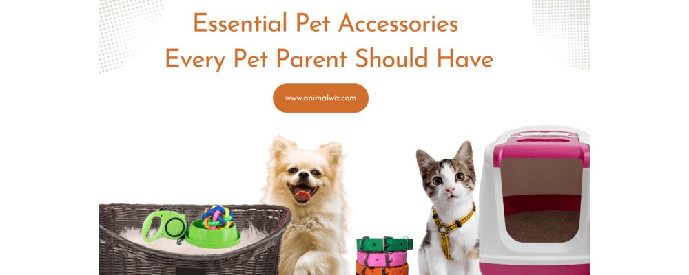 Top 10 Essential Pet Accessories Every Pet Parent Should Have - shopanimalwiz.com