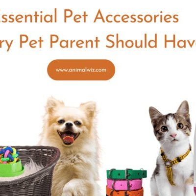 Top 10 Essential Pet Accessories Every Pet Parent Should Have - shopanimalwiz.com