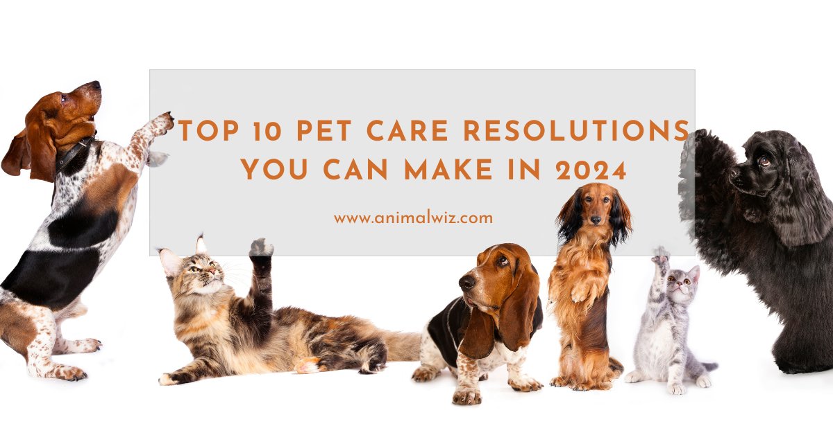 Top 10 Pet Care Resolutions for 2024 - shopanimalwiz.com