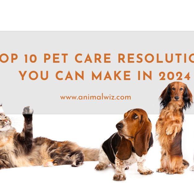 Top 10 Pet Care Resolutions for 2024 - shopanimalwiz.com