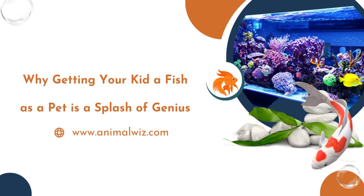 Why Getting Your Kid a Fish as a Pet is a Splash of Genius - shopanimalwiz.com