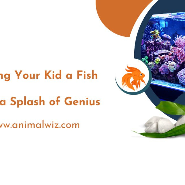 Why Getting Your Kid a Fish as a Pet is a Splash of Genius - shopanimalwiz.com