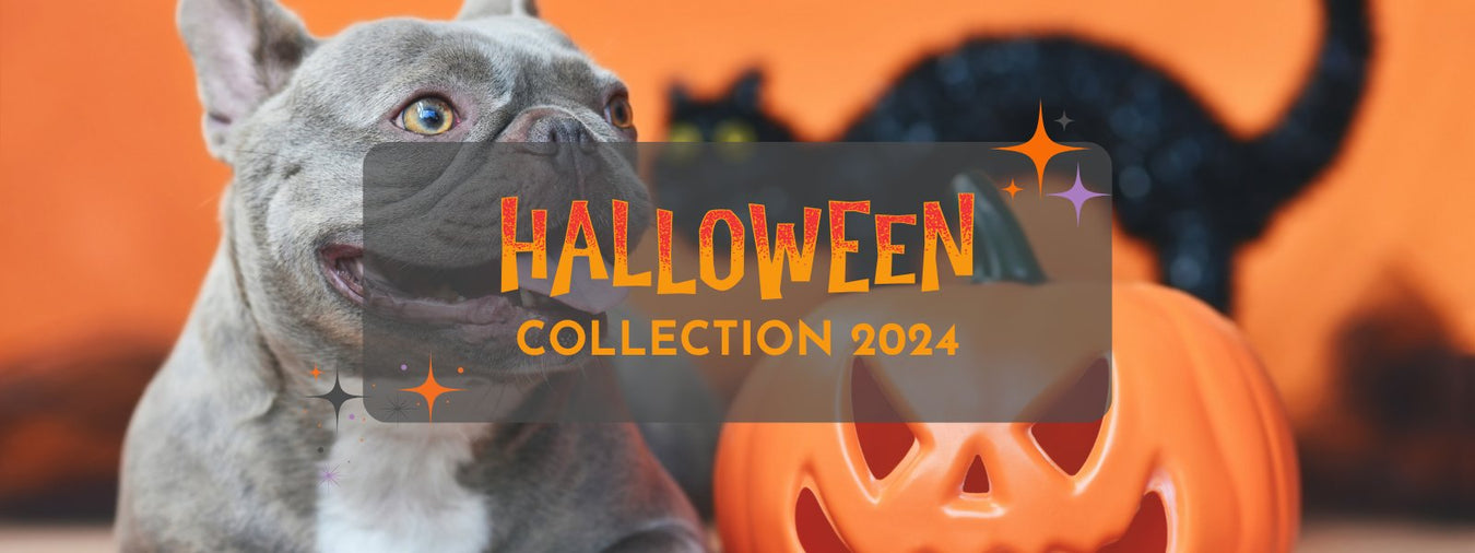 Halloween Collection - shopanimalwiz.com