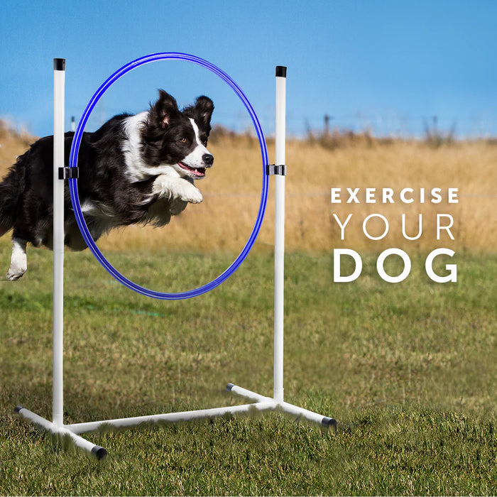 Better Sporting Dogs 3 Piece Essential Dog Agility Equipment Set | Agility Jump | Tire Jump | 10’ Tunnel with Sandbags