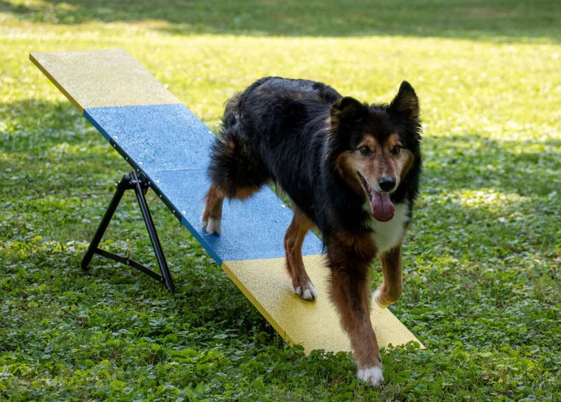 Better Sporting Dogs Practice See Saw | Dog Agility Teeter | Dog Agility Equipment