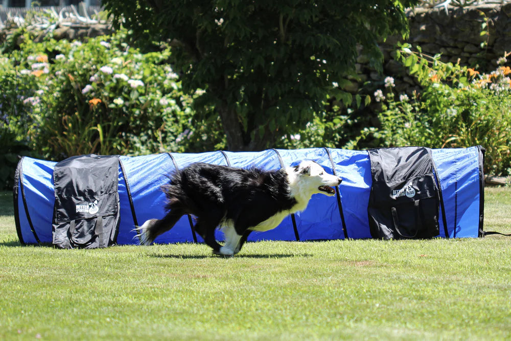 Better Sporting Dogs 10 Foot Dog Agility Tunnel with Sandbags | Dog Agility Equipment | Dog Agility Training