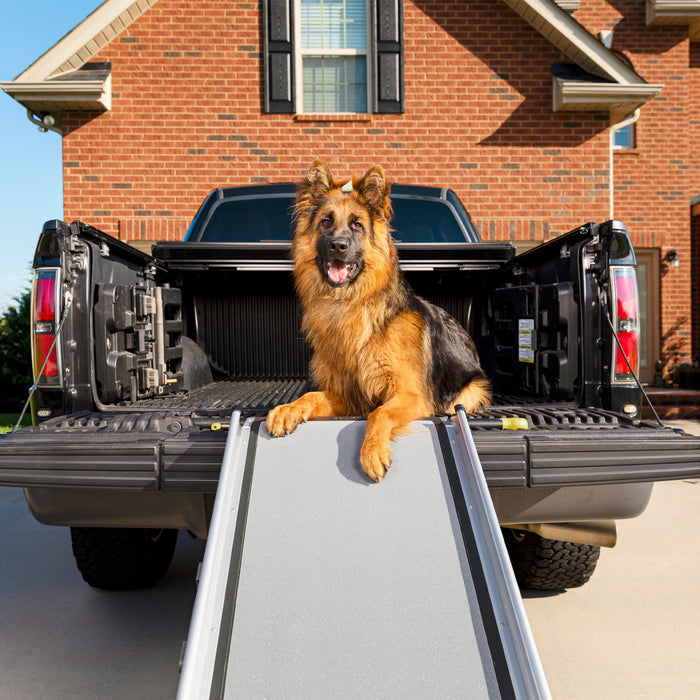 Petsafe Happy Ride Extra Long Telescoping Dog Ramp, 300lb Capacity