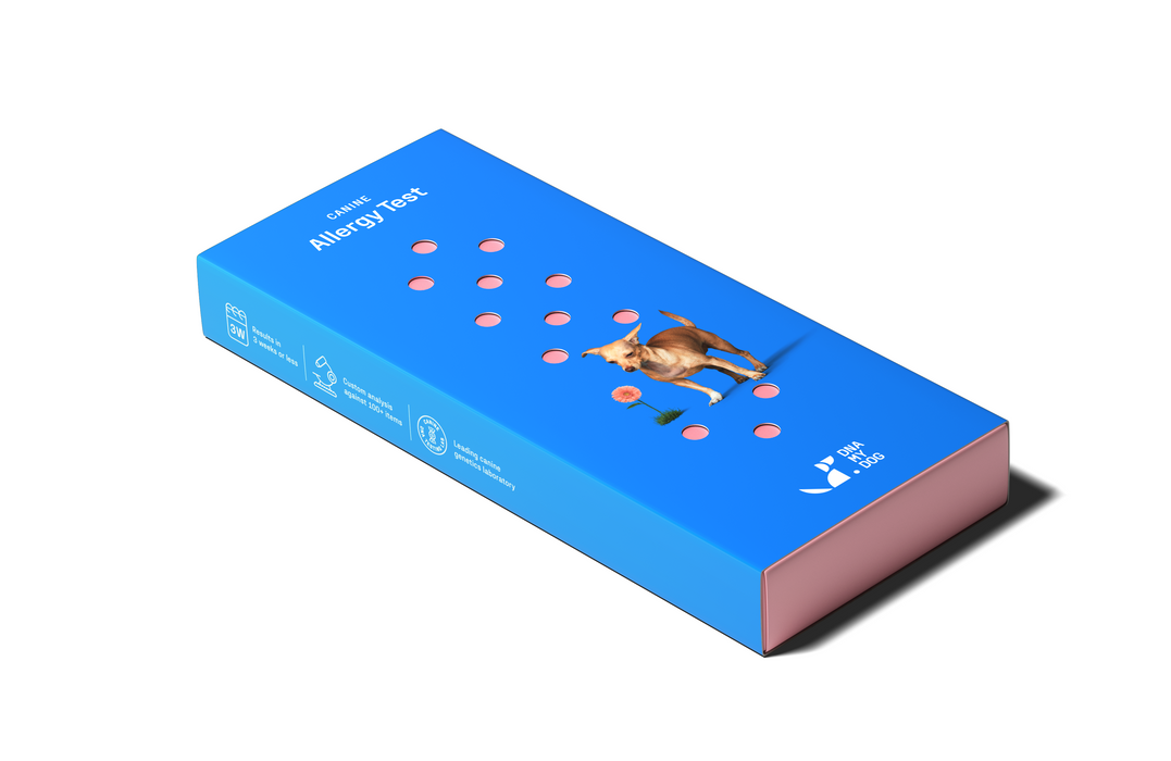 DNA My Dog Allergy Test