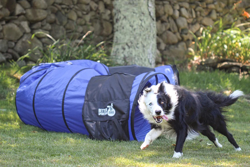 Better Sporting Dogs 16 Foot Dog Agility Tunnel with Sandbags | Dog Agility Equipment | Dog Agility Training