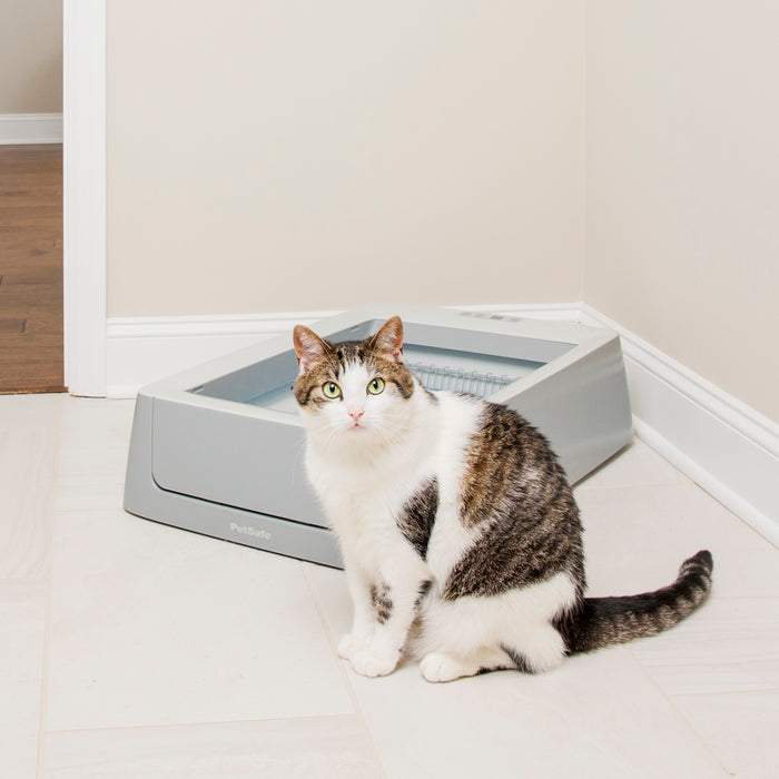 Petsafe ScoopFree Smart Self-Cleaning Litter Box