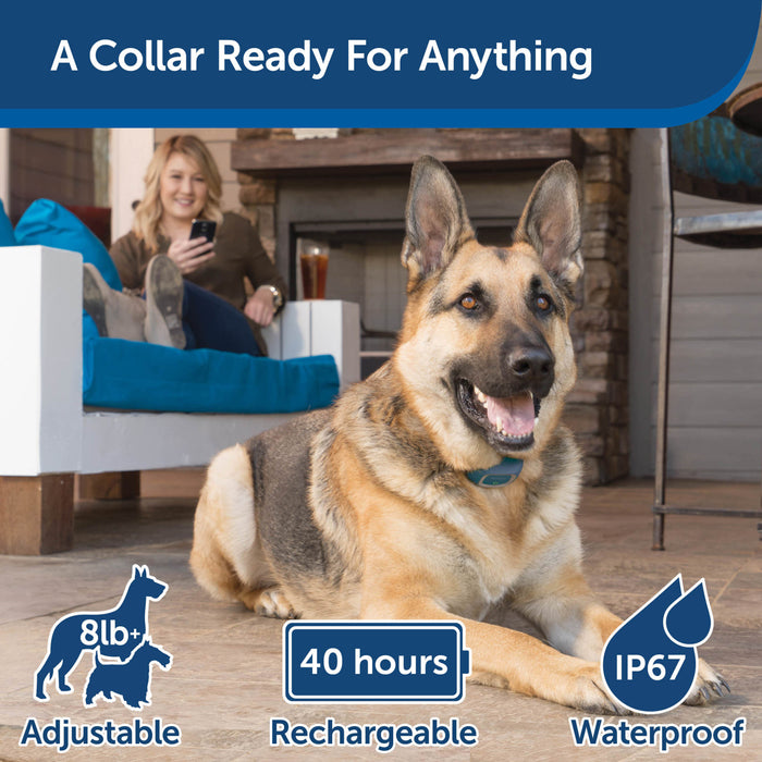 Petsafe Smart Dog Rechargeable Static Bark Collar