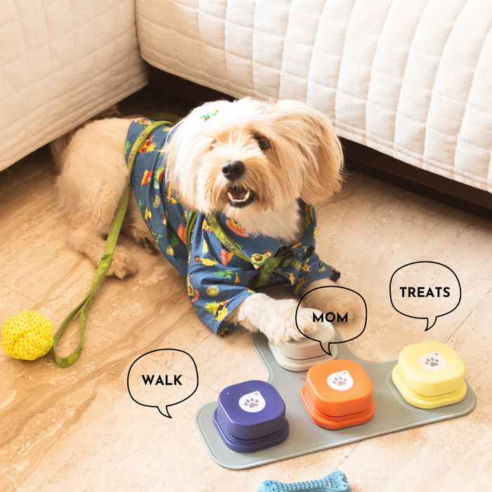 Wiz Basics Recordable Training Buttons for Dogs (Set of 4 With Mat)