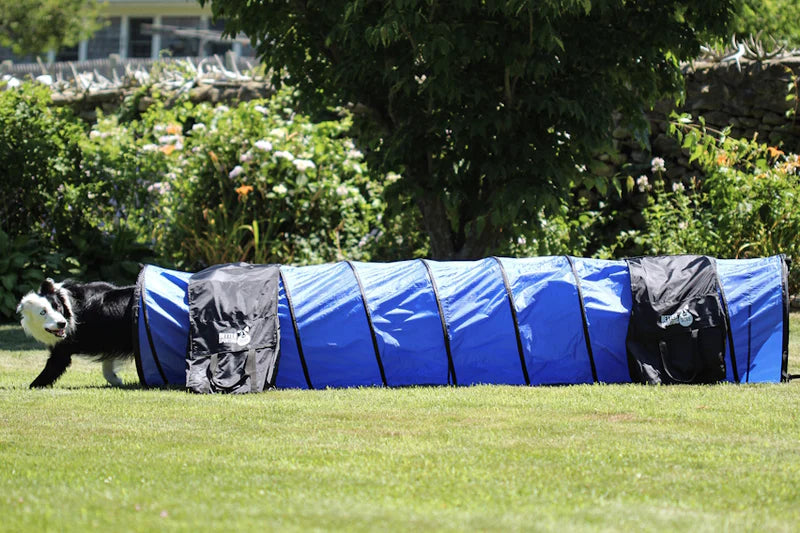 Better Sporting Dogs 10 Foot Dog Agility Tunnel with Sandbags | Dog Agility Equipment | Dog Agility Training