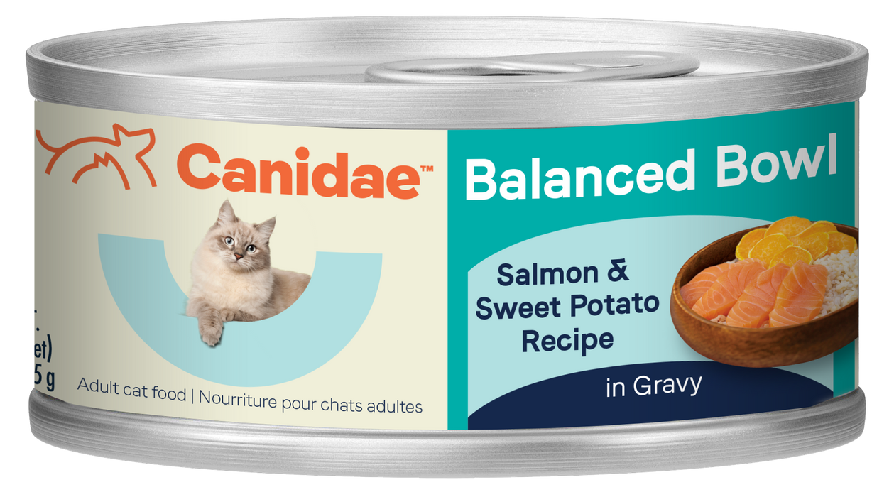 CANIDAE Balanced Bowl Canned Cat Food Salmon & Sweet Potato 3oz