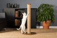 Prevue Pet Products Kitty Power Paws Tall Round Scratching Post - 048081071007