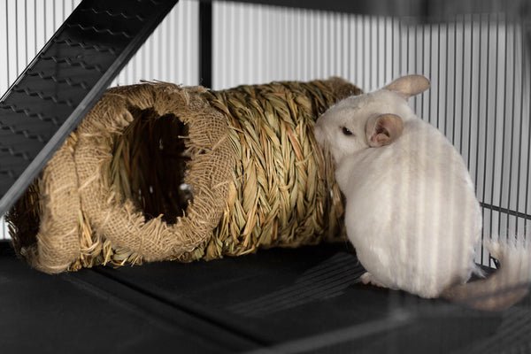 Prevue Pet Products Nature's Hideaway Grass Tunnel - 048081010983