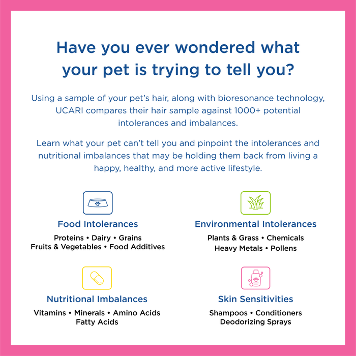 UCARI Pet Sensitivity & Intolerance Test Kit: Environmental & Pet Food Intolerance Screening for Dogs & Cats (Fast 48-hour result)