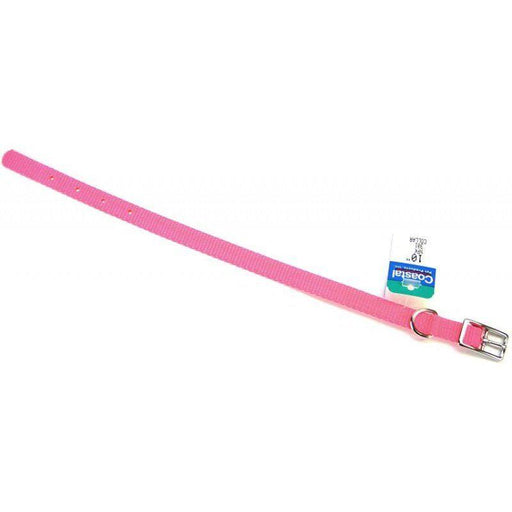 Coastal Pet Single Nylon Collar - Neon Pink - shopanimalwiz.com