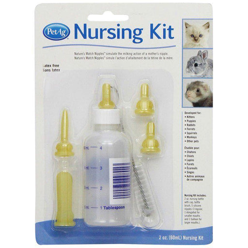 PetAg Kitten Nursing Kit - shopanimalwiz.com