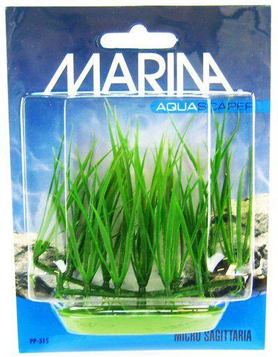 Marina Foreground Micro Sagittaria Aquarium Plant - shopanimalwiz.com