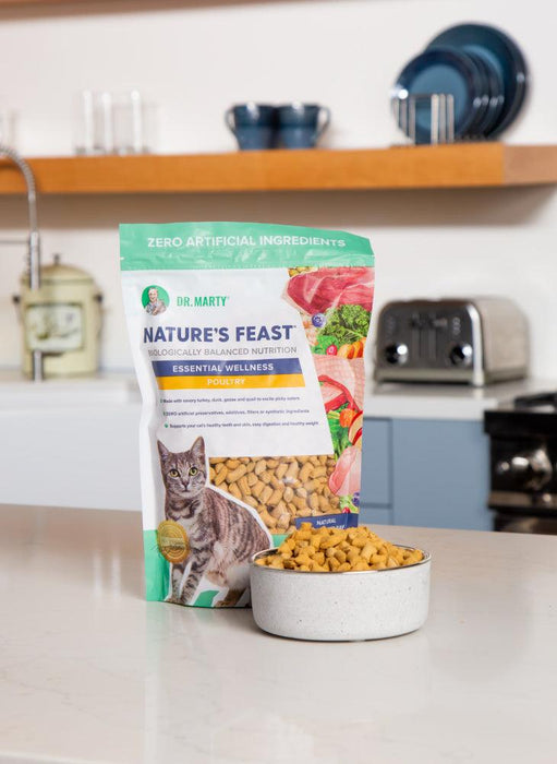 Dr. Marty Nature's Feast Essential Wellness  Poultry Freeze Dried Raw Cat Food - shopanimalwiz.com