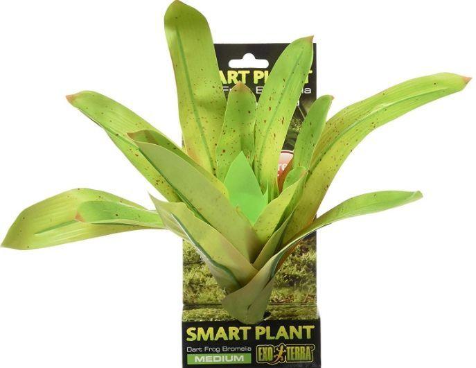 Exo Terra Dart Frog Bromelia Smart Terrarium Plant - shopanimalwiz.com