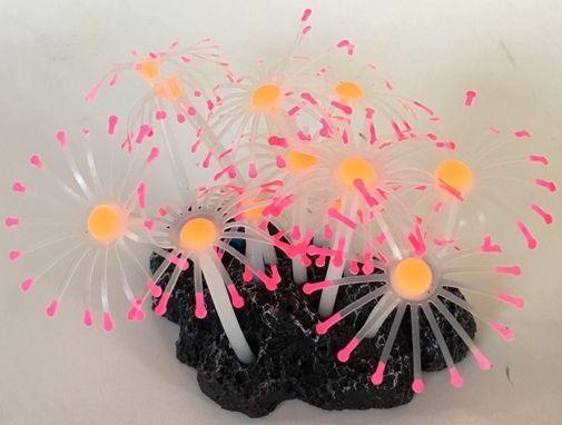 Aquatic Creations Aquarium Decor Star Polyps Pink & Orange - shopanimalwiz.com