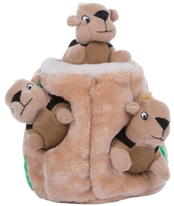 Outward Hound Plush Hide-A-Squirrel Puzzle Dog Toy - shopanimalwiz.com