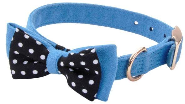 Coastal Pet Accent Microfiber Dog Collar Boho Blue with Polka Dot Bow 5/8" Wide - shopanimalwiz.com