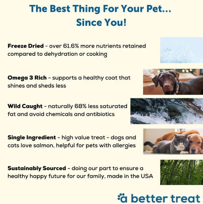 A Better Treat Single Ingredient Freeze Dried Raw Wild Caught Salmon Dog and Cat Treats - 860004608905