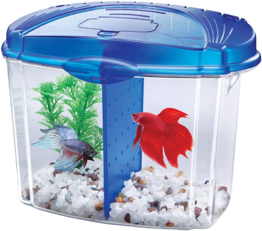 Aqueon Betta Bowl Starter Kit - Blue - 015905012065